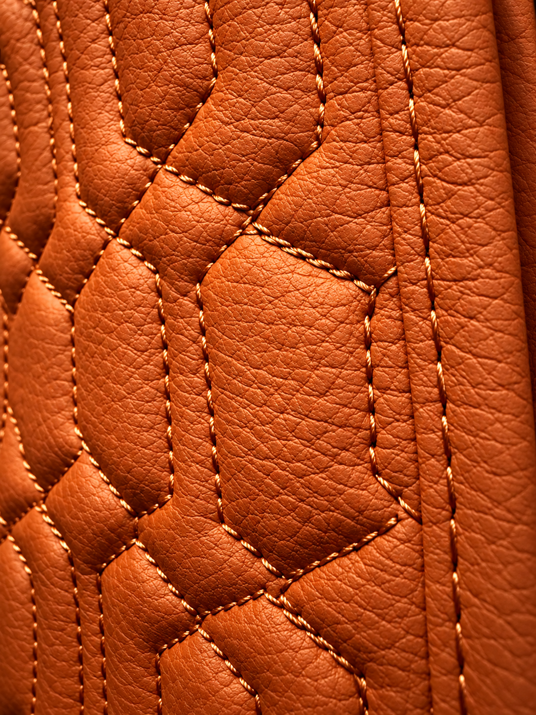 Eskadron Platinum Faux leather Horse Passport Holder Orange