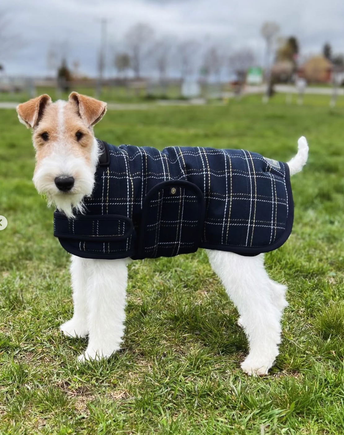 Eskadron Heritage Boucle Fleece Lined Dog Coat Blue