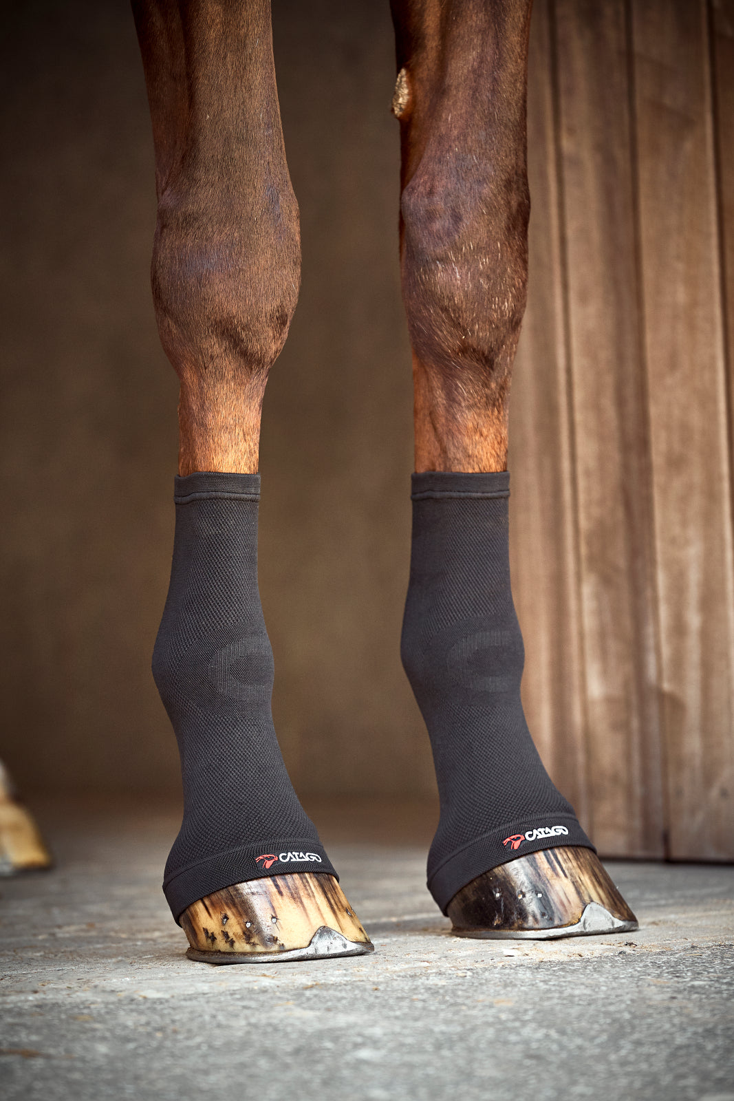 Catago FIR-Tech Compression Socks