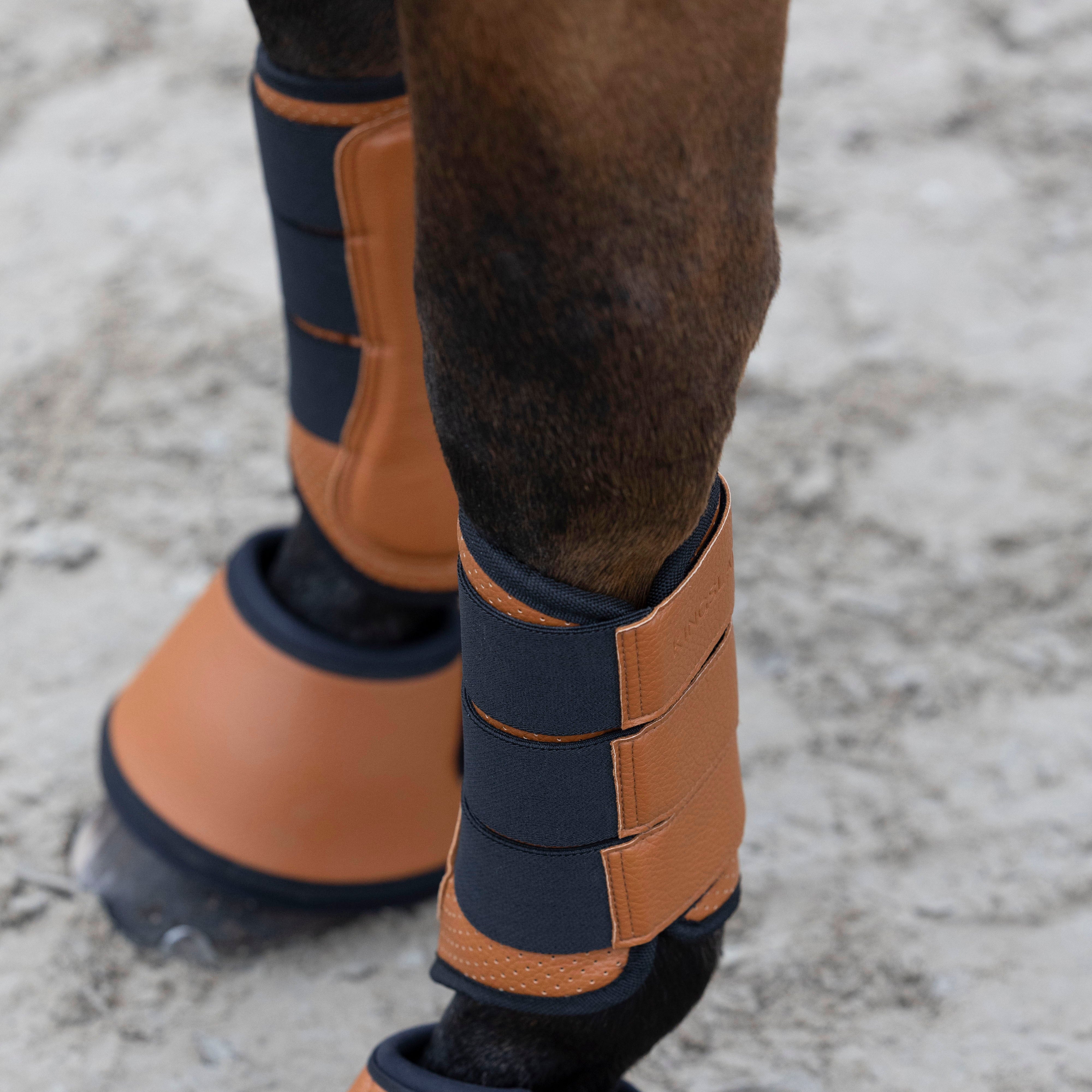 Kingsland KL Mona Protection Brushing Tendon Boots Argan Oil Brown