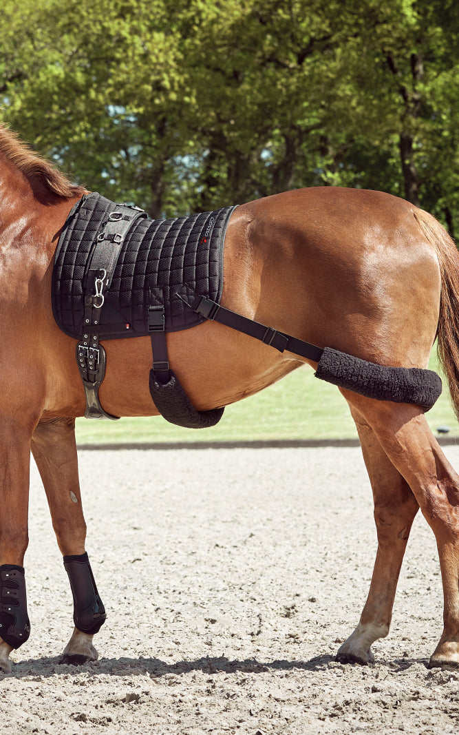 Catago FIR-Tech Training Saddle Pad Elastic Dressage