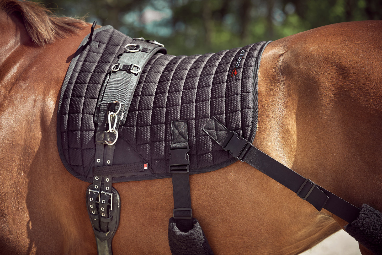 Catago FIR-Tech Training Saddle Pad Elastic Dressage