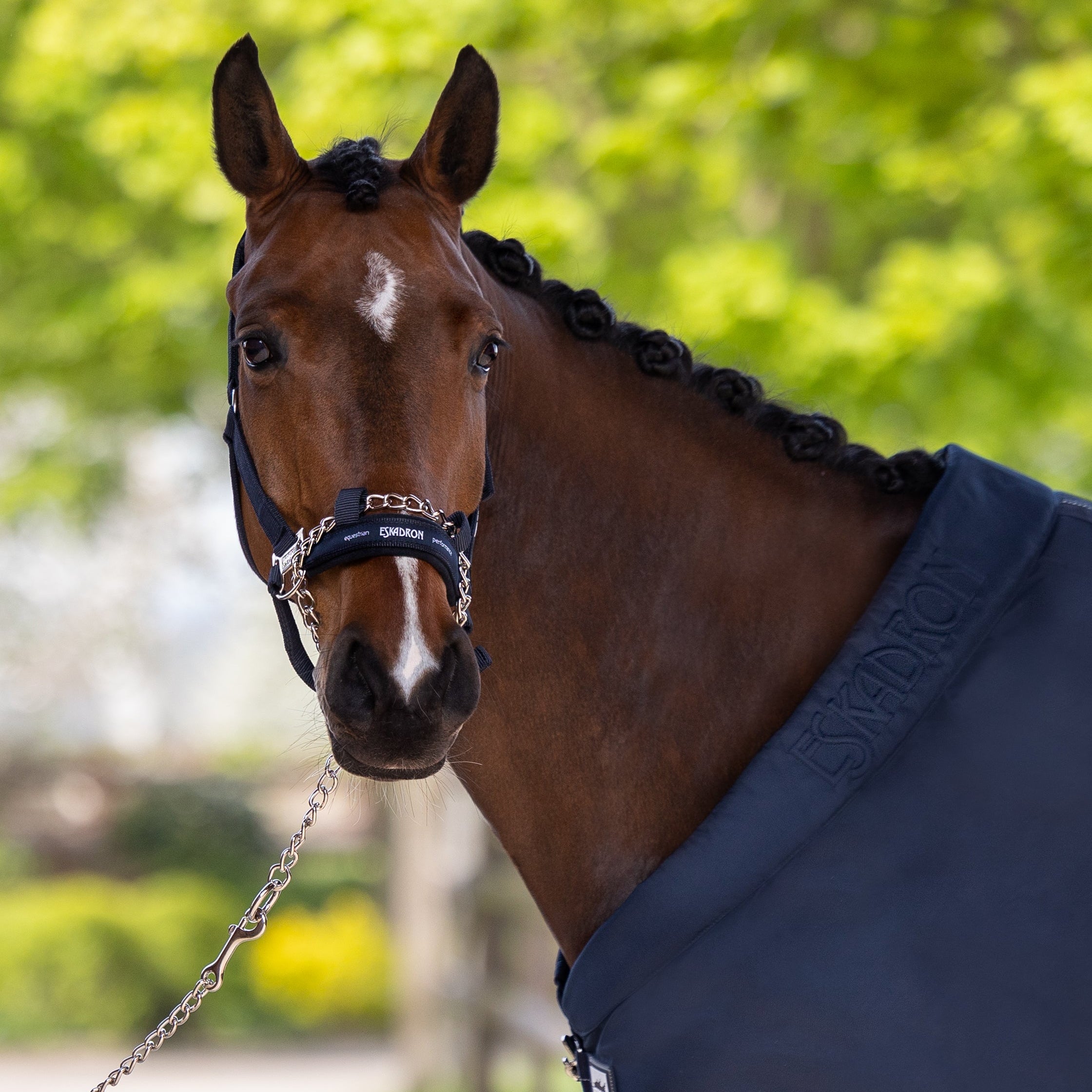 Eskadron Control Halter w/Attached Chain Navy
