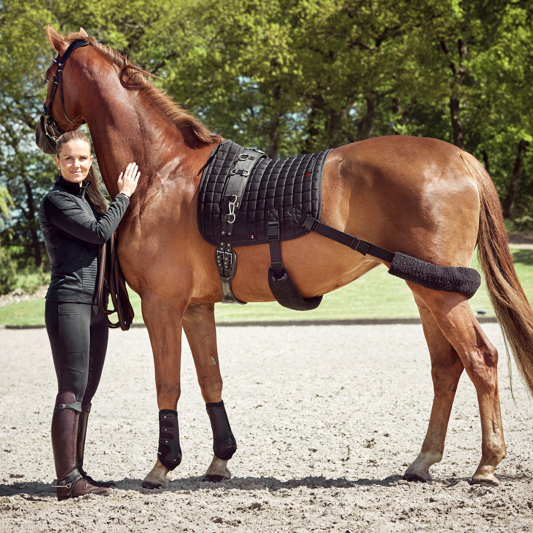 Catago FIR-Tech Training Saddle Pad Elastic Dressage