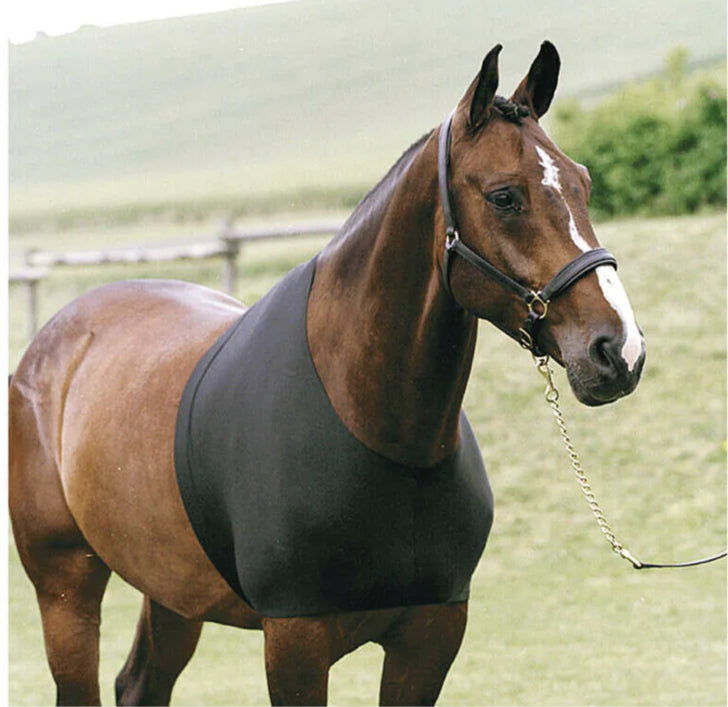 Horse and Pony Shoulder Guard Protector