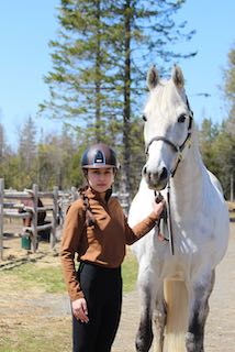 Eskadron Cosy Half Zip Riding Shirt Womens Almond
