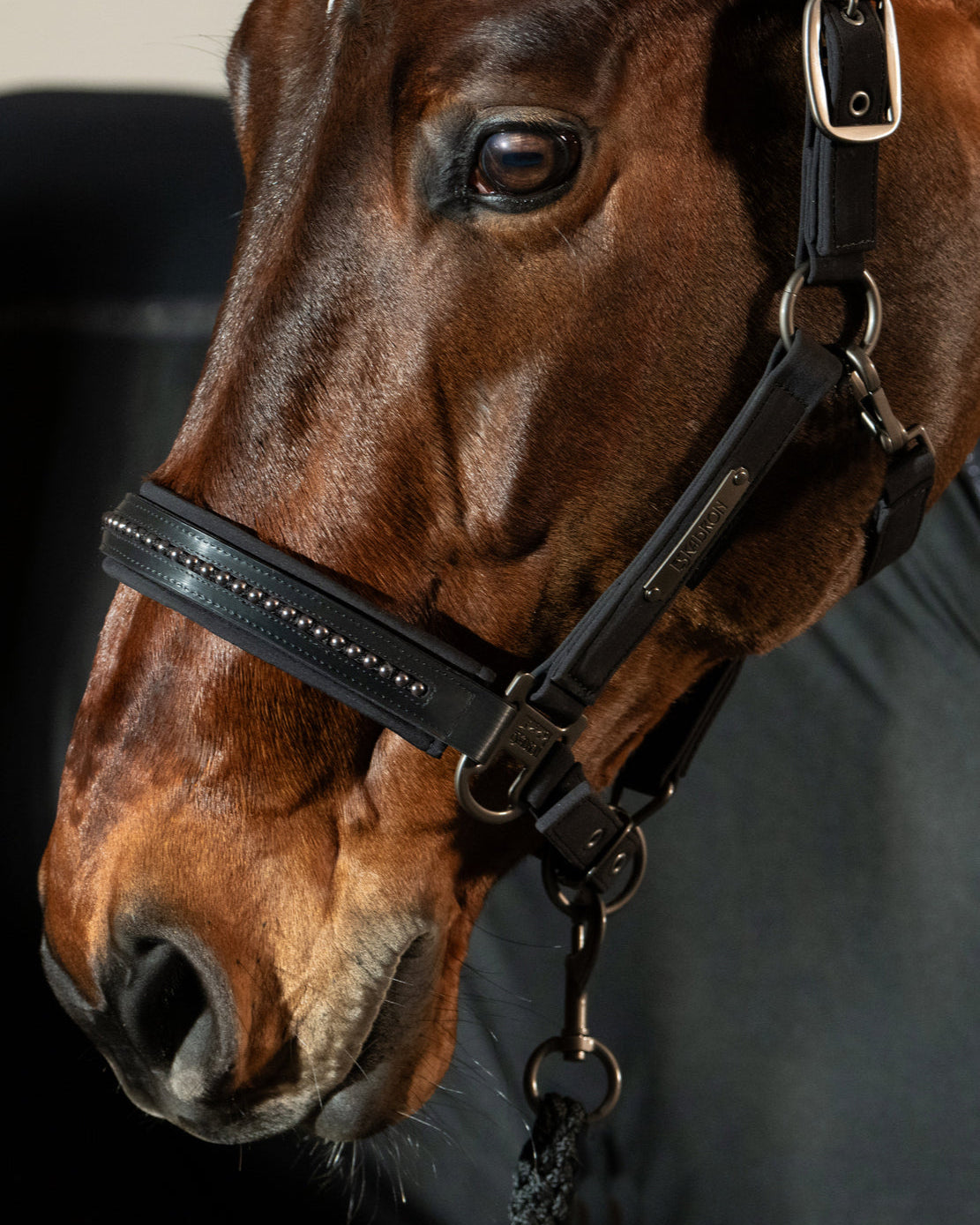 Eskadron Padded Halter Platinum Softshell Pearls Black
