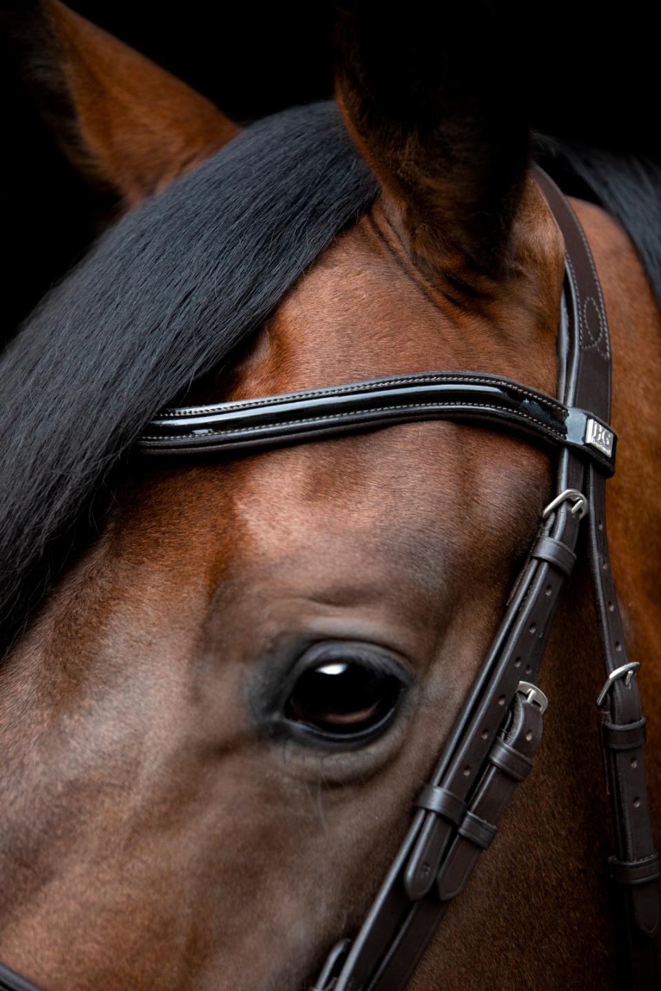 Cryll Ergonomic Bridle Black Leather w/Flash & Reins Included