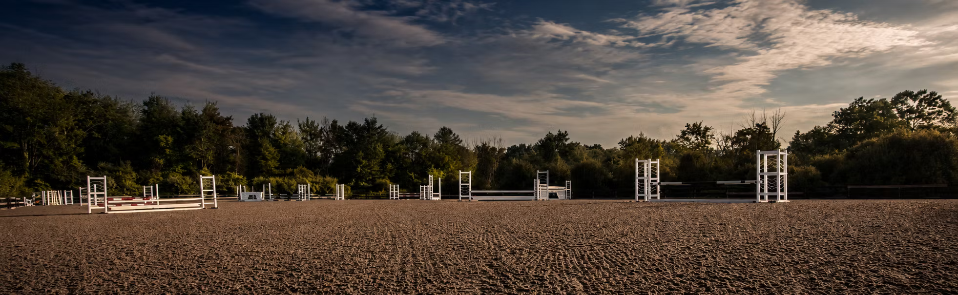 Arena Footing