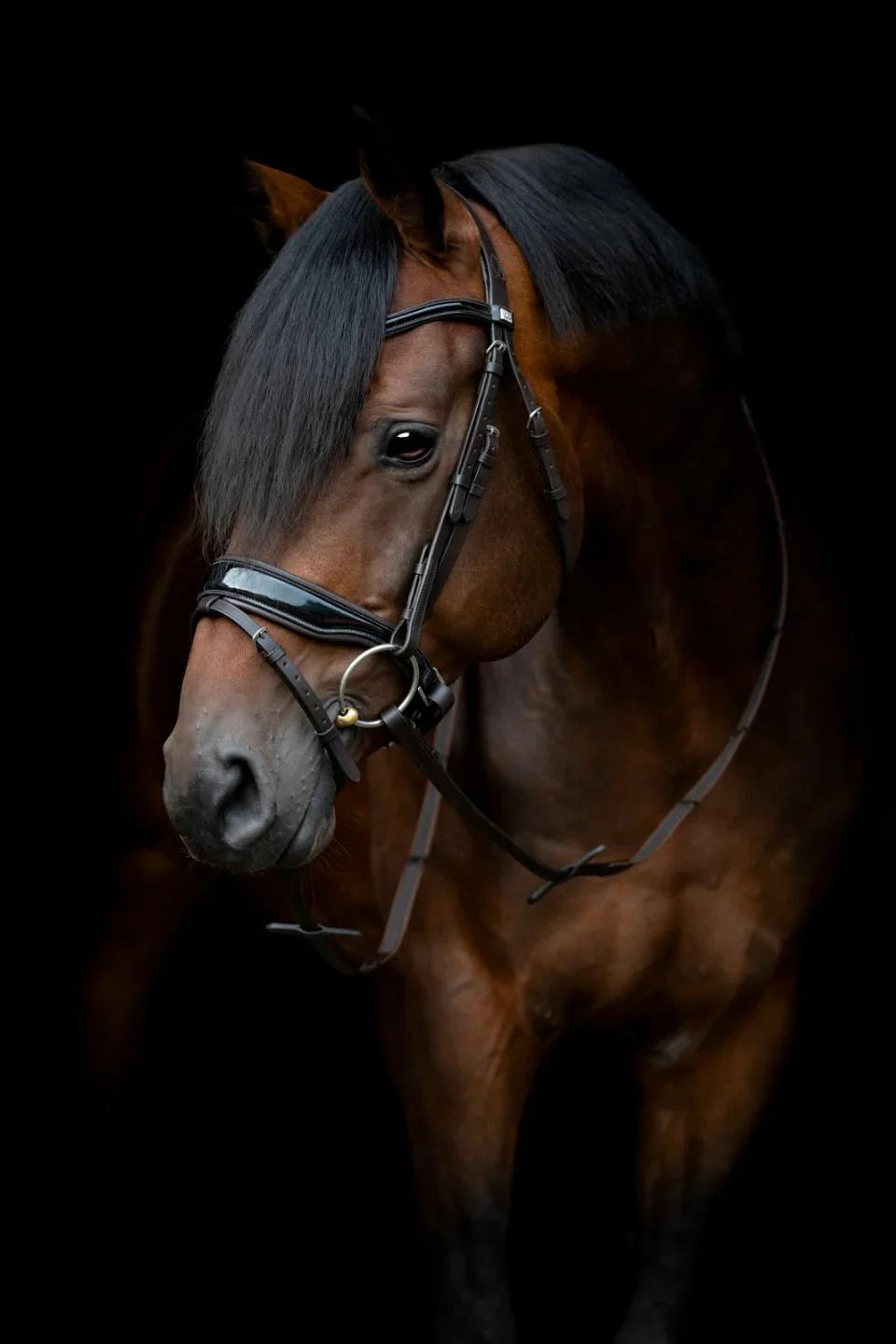 Horse Bits
