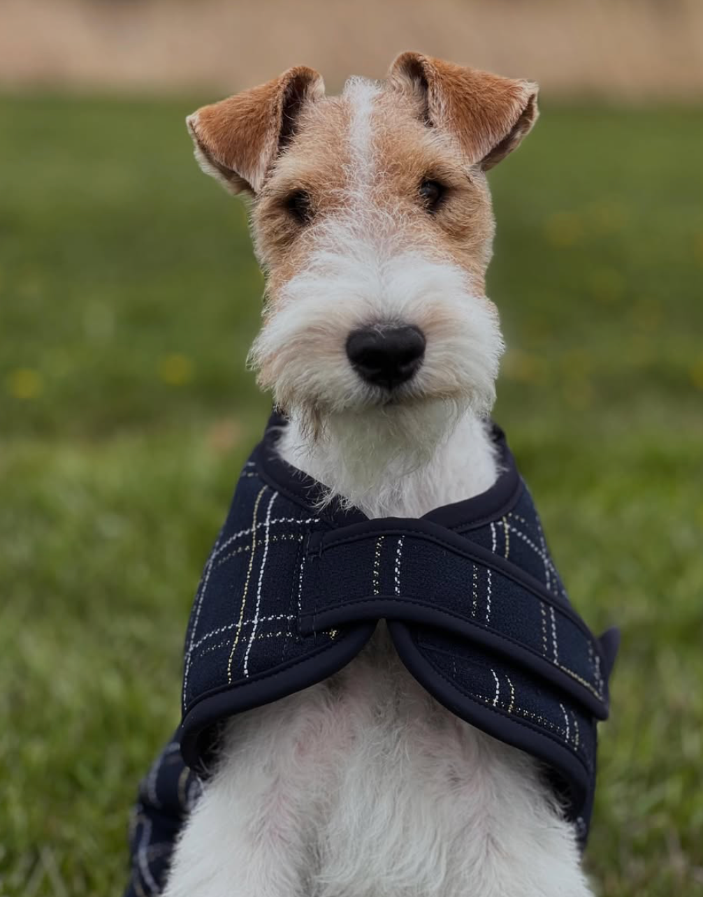 Eskadron Heritage Boucle Fleece Lined Dog Coat Blue