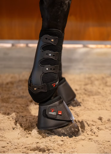 Black Catago Fir Tech tendon horse boots with carbon fiber texture and mesh panels, shown fitted on a horse's leg standing in sand within an indoor arena.