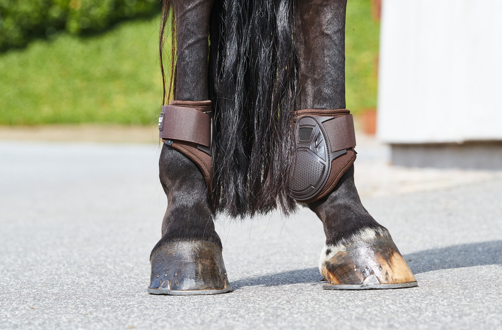 Catago Hybrid Fetlock/Hind Jumping Protection Boots