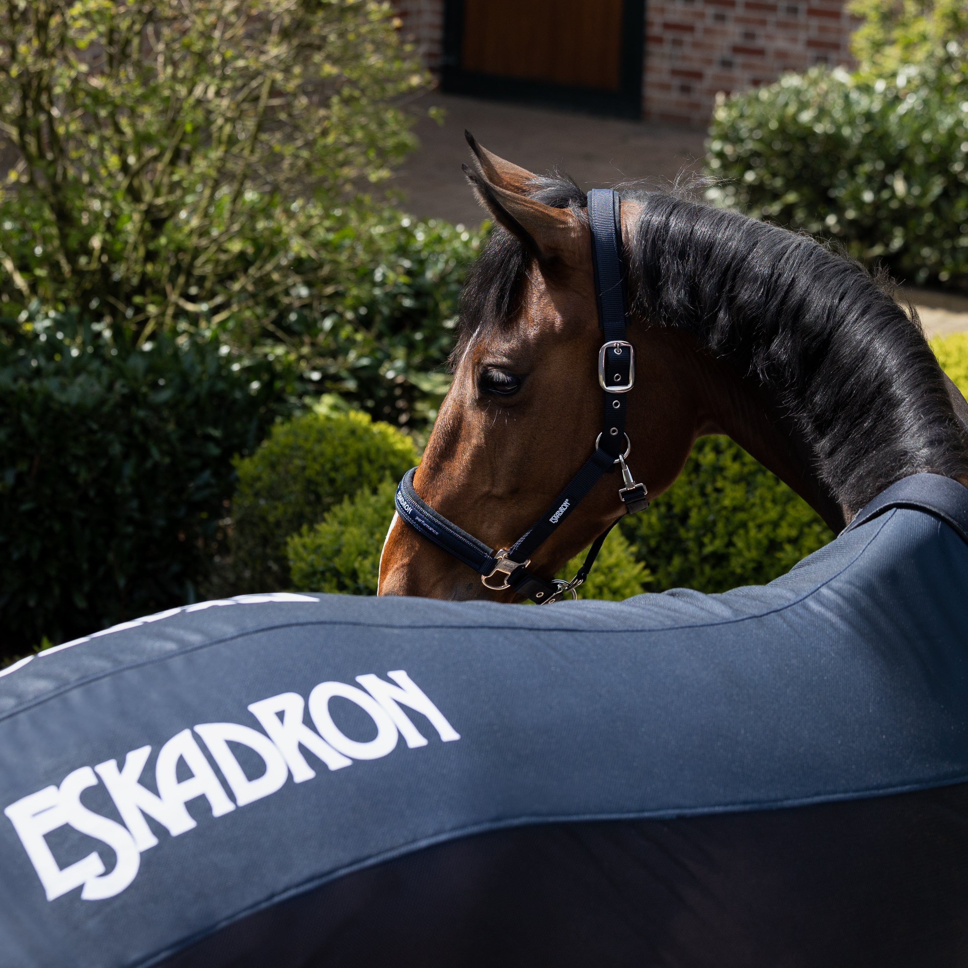 Eskadron Fly Sheet Pro Cover