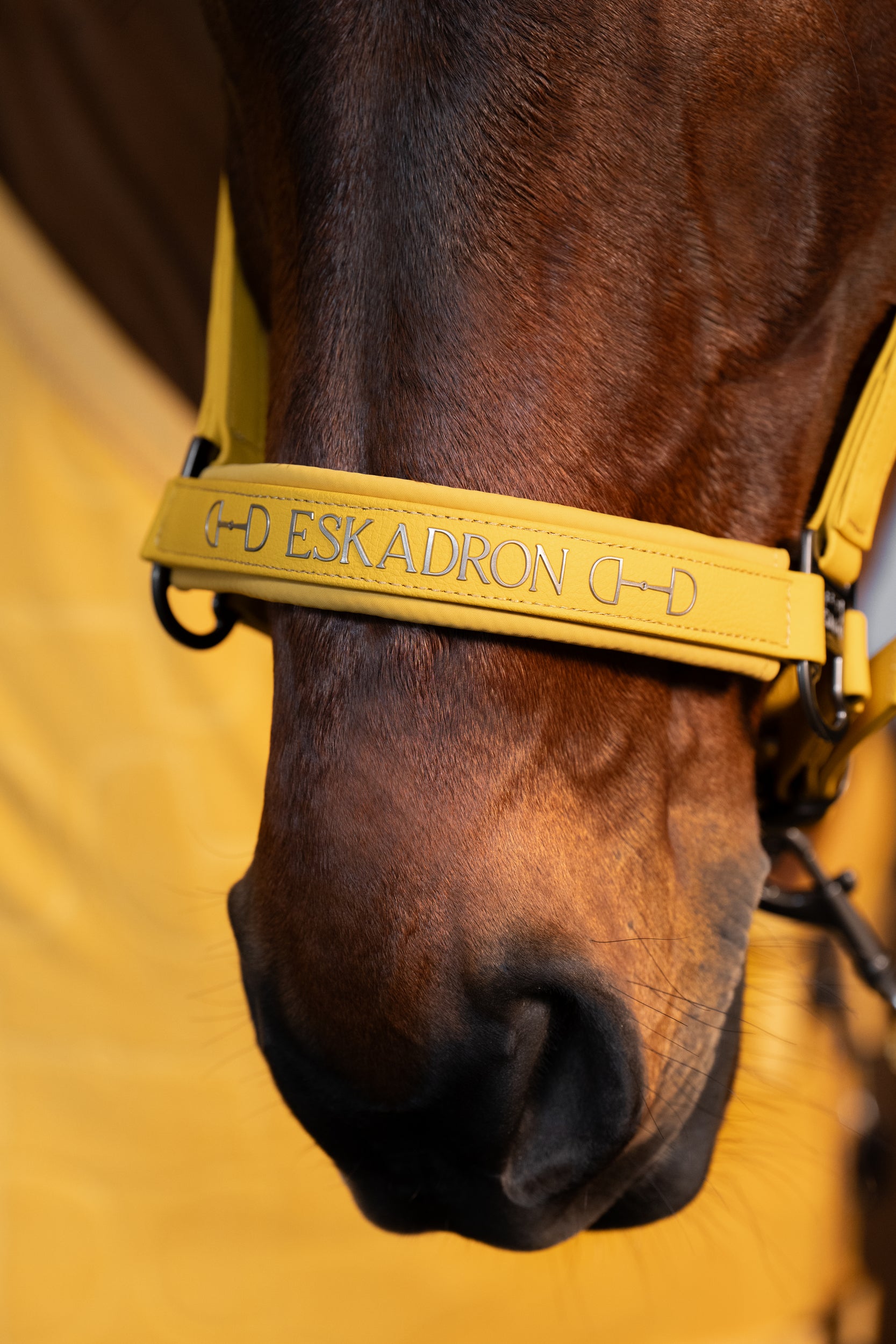 Eskadron Padded  Halter Platinum Golden Yellow