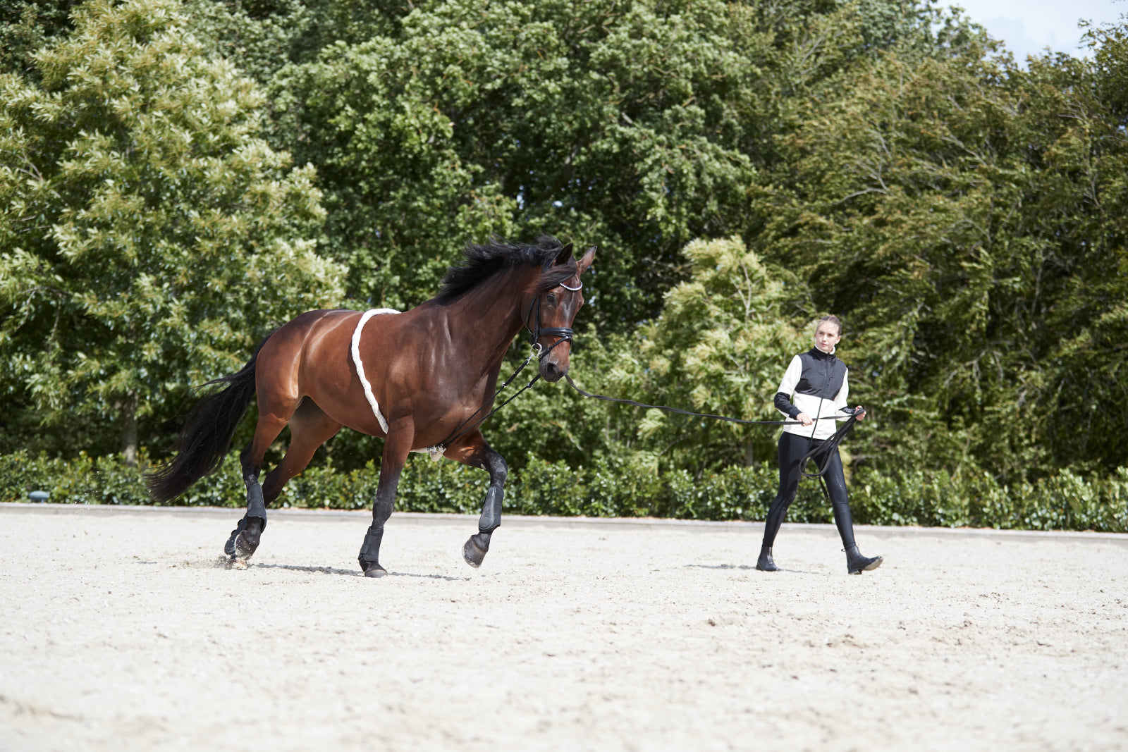 Soft Rope Lunging Lunge Aid