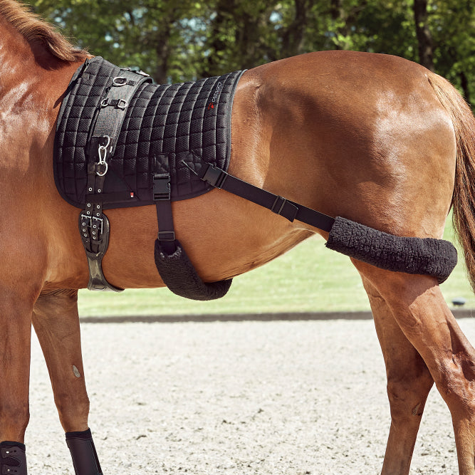 Catago FIR-Tech Training Saddle Pad Elastic All Purpose