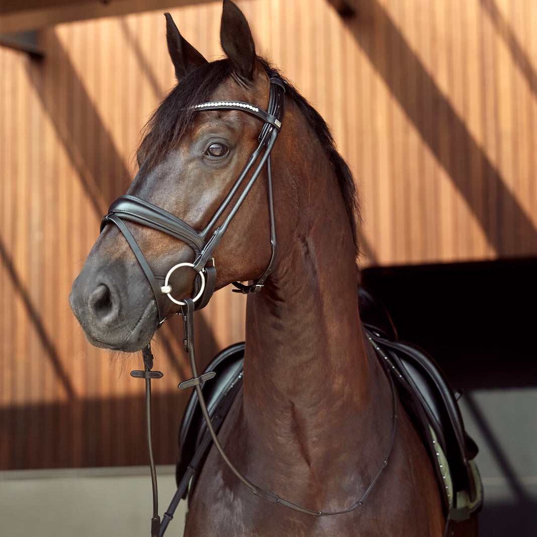 Black Leather Ava Bridle Roundsewn