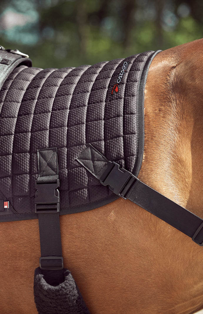 Catago FIR-Tech Training Saddle Pad Elastic Dressage