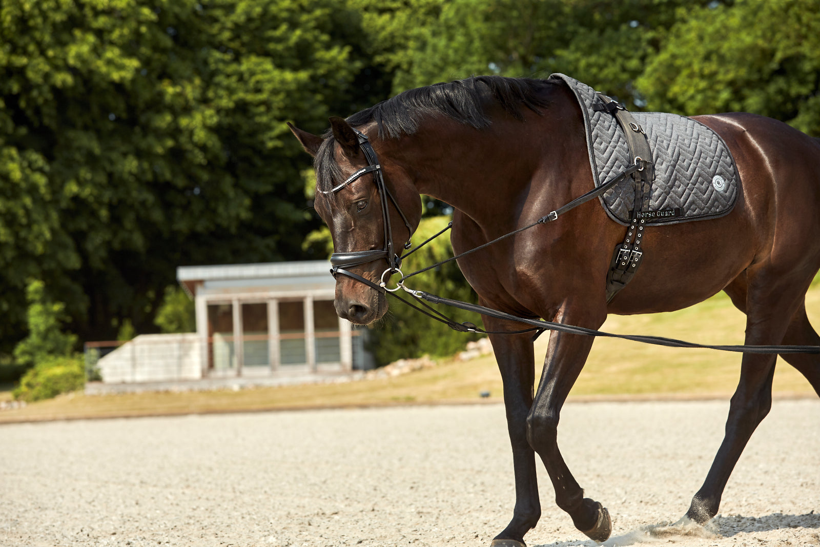 Black Leather Ava Bridle Roundsewn