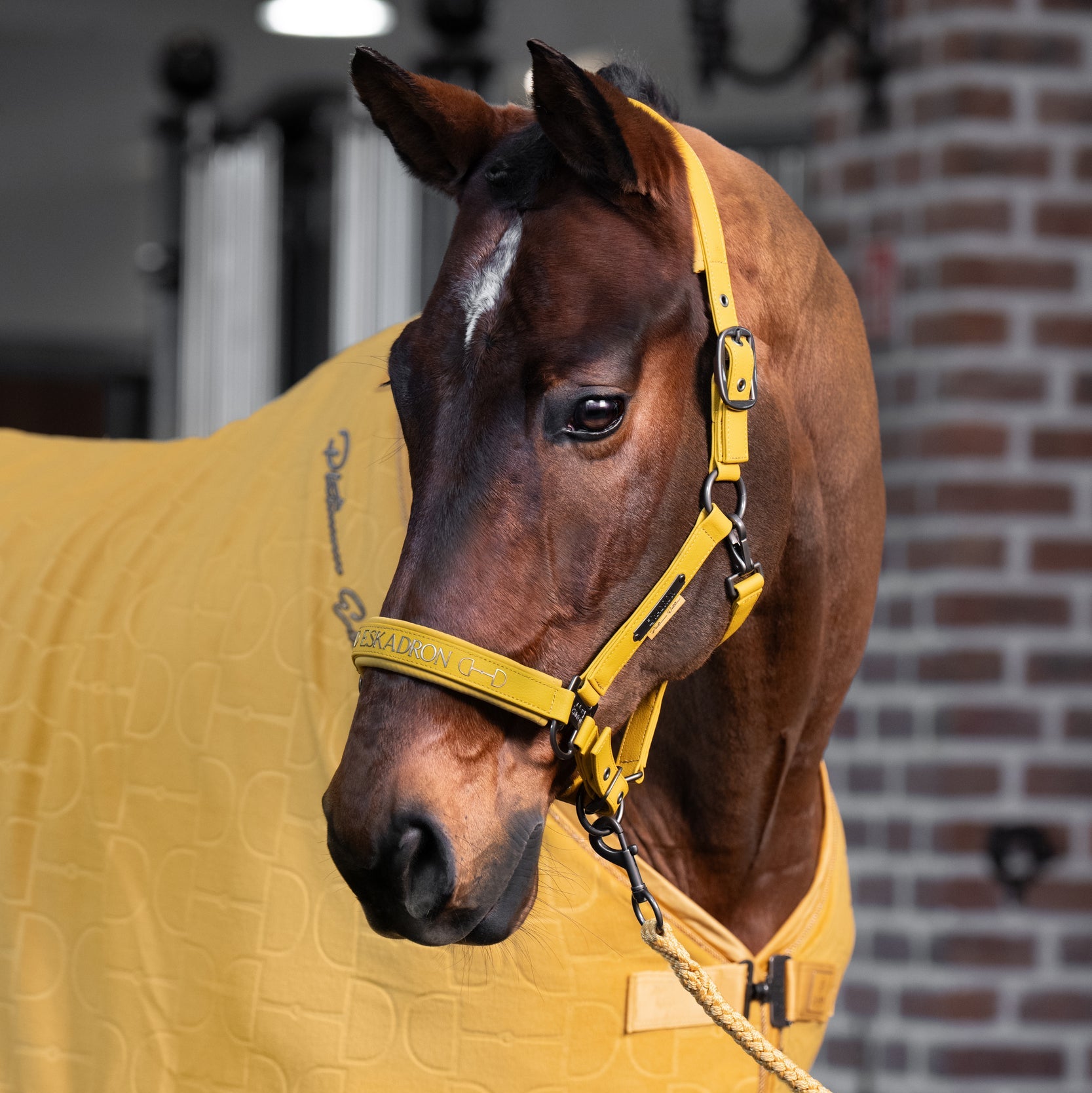 Eskadron Padded  Halter Platinum Golden Yellow
