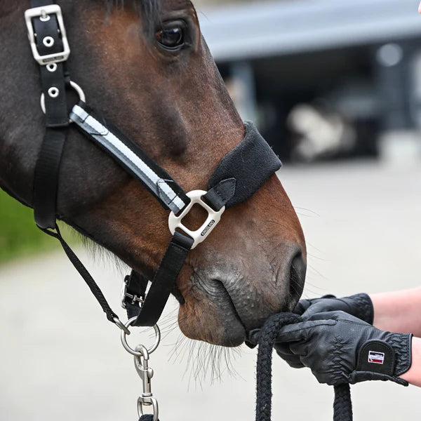 Kingsland Classic Riding Gloves Black