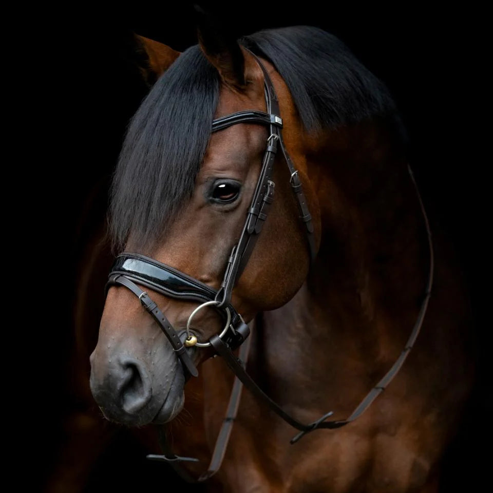 Cryll Ergonomic Bridle Black Leather w/Flash & Reins Included