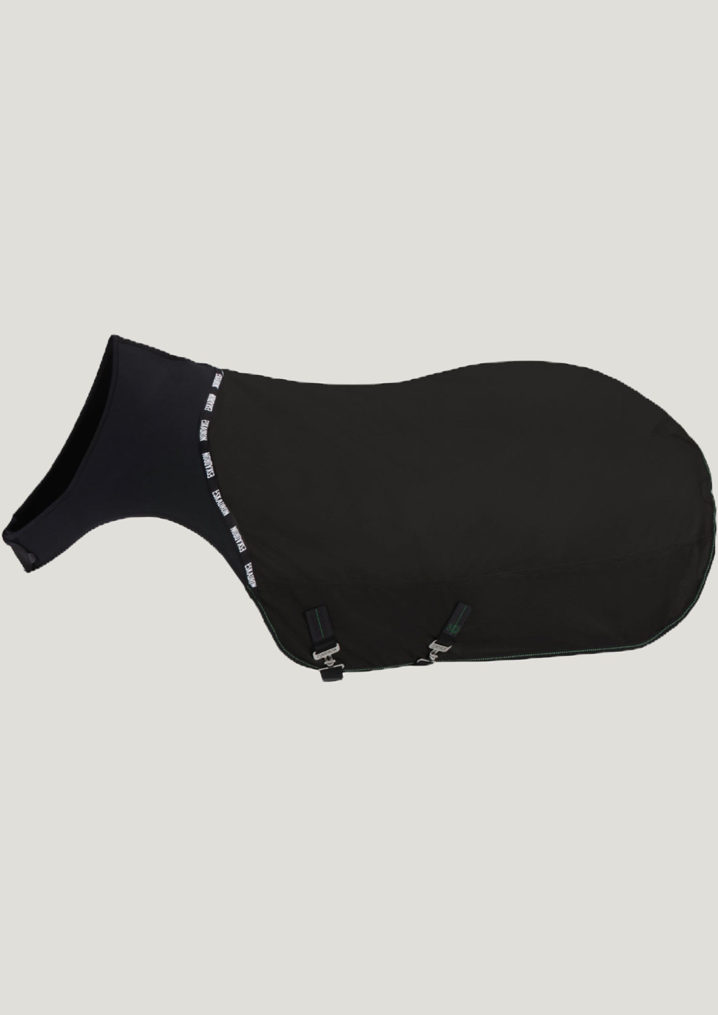 Eskadron Delta Walker/Turnout System