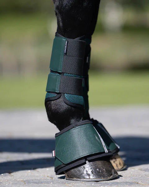 Kingsland KL Nora Protection Brushing Tendon Boots Green Black