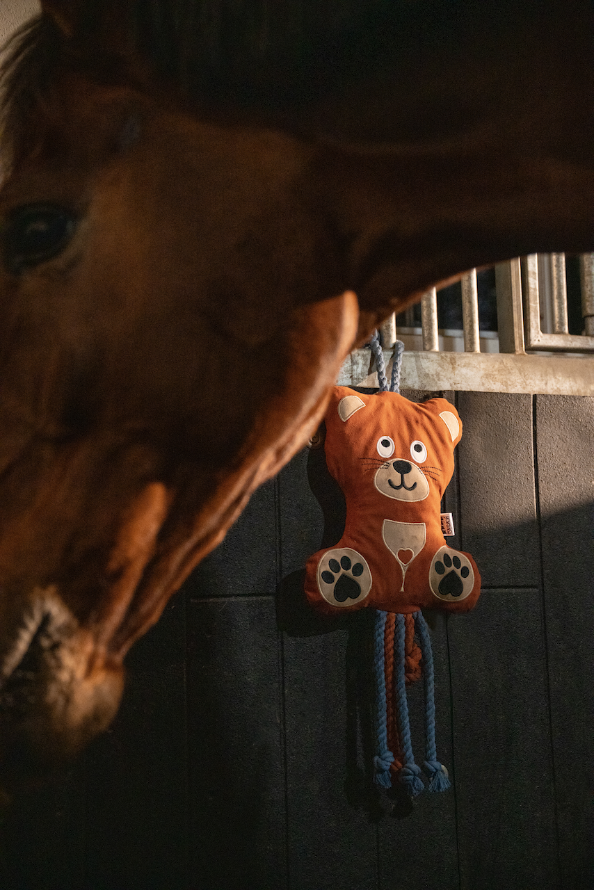 Eskadron Platinum Bear Horse Toy Orange